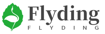 Flyding.co.uk